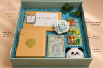 Dino Starter Kit - Image 5