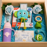 Welcome Baby Boy – Essential Care