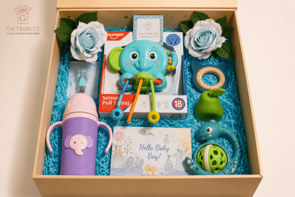 Welcome Baby Boy – Essential Care