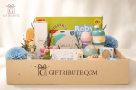 Royal Blue Welcome –Newborn Luxury