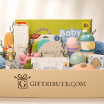 Royal Blue Welcome –Newborn Luxury