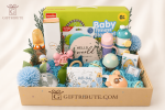Royal Blue Welcome –Newborn Luxury - Image 2