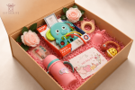 Welcome Baby Girl – Essential Care - Image 2