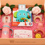 Welcome Baby Girl – Essential Care