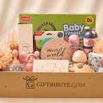 Rosy Welcome – Newborn Luxury