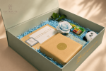 Dino Starter Kit - Image 4