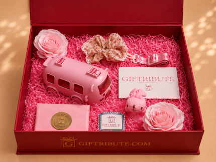 Pink Playtime Starter — gift hamper UAE
