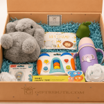 Little Explorer Starter