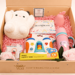 Little Princess Starter